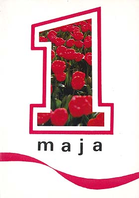 Czerwone tulipany 1 Maja